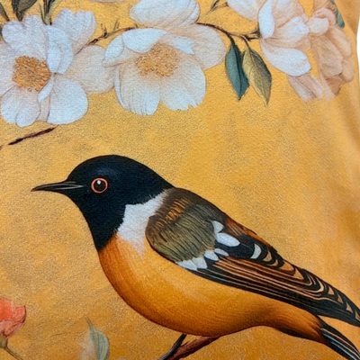XL Pájaros