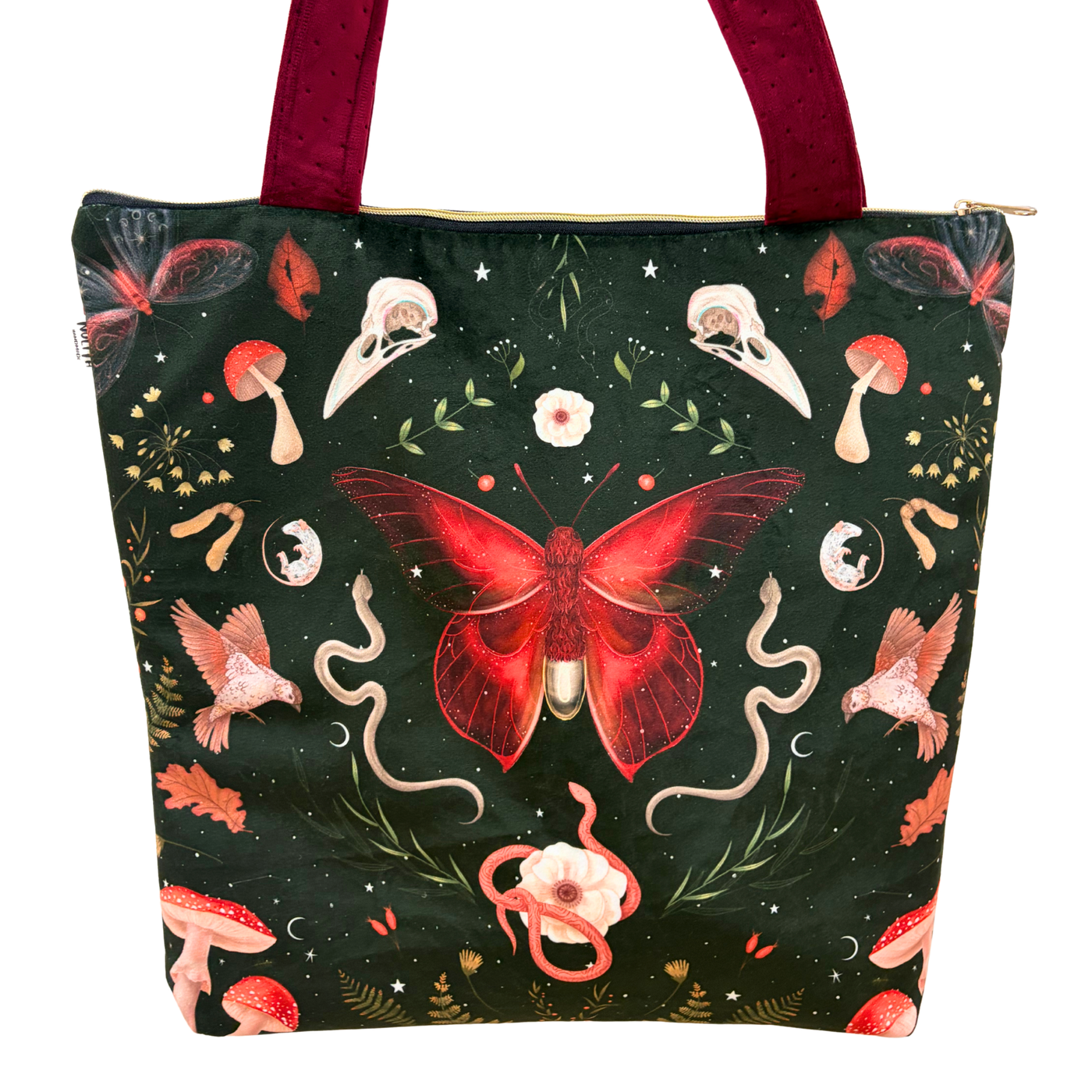 XL Mariposas