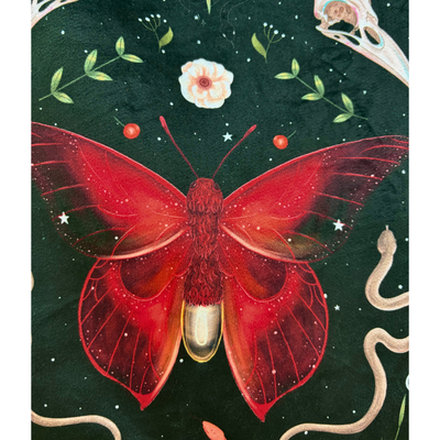XL Mariposas